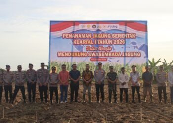 Sinergi di Lahan Pertanian, Kapolres PPU Pimpin Penanaman Jagung Serentak Dukung Swasembada 2026