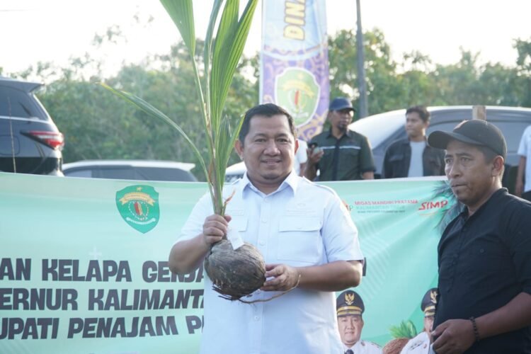 Dampingi Gubernur Kaltim, Bupati PPU Dukung Pengembangan Kelapa Genjah sebagai Komoditas Unggulan Daerah