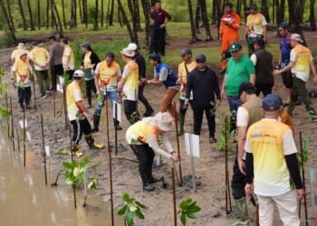 Lindungi Ekosistem Kawasan Pesisir, Grup PT Pertamina Hulu Indonesia Tanam Ribuan Bibit Mangrove