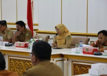 DPMD PPU Gelar Konsultasi Publik dan Ekspose Indeks Desa, Perkuat Sinergi Pembangunan Desa