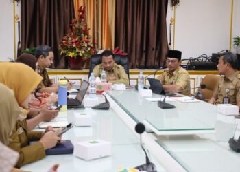 Pemkab PPU dan BRIN Bahas Pengembangan Model Nilai Publik E-Government