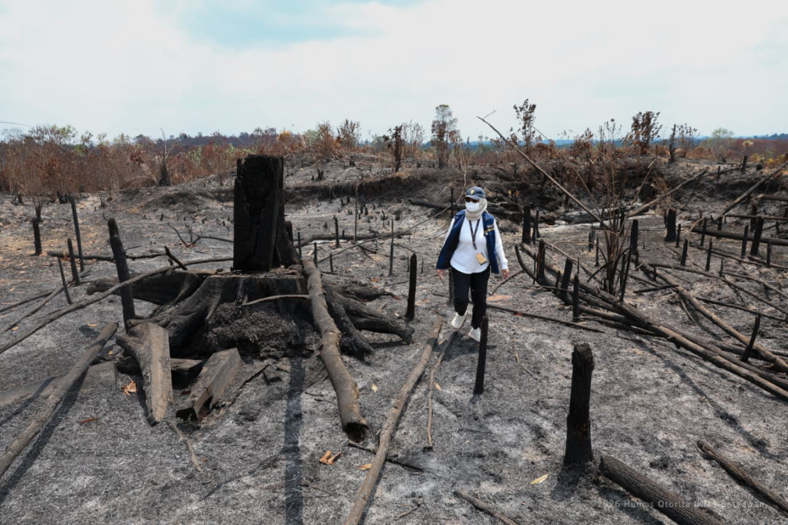 Lindungi Tahura Bukit Soeharto, Otorita IKN Tegaskan Larangan Bakar Lahan