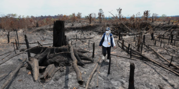 Lindungi Tahura Bukit Soeharto, Otorita IKN Tegaskan Larangan Bakar Lahan