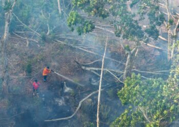 Otorita IKN Perkuat Pengendalian Karhutla Melalui Satuan Reaksi Cepat Multi Pihak dan Pembagian Tujuh Klaster Wilayah
